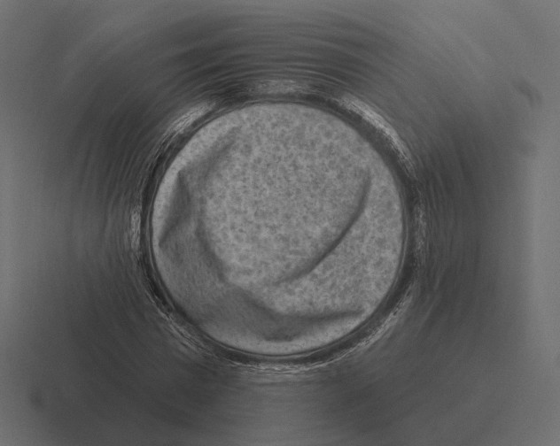 X0000116300777200912291431