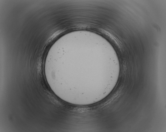 X0000116300778200912291431