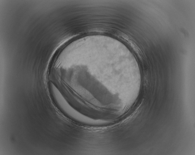 X0000116300779200912291431