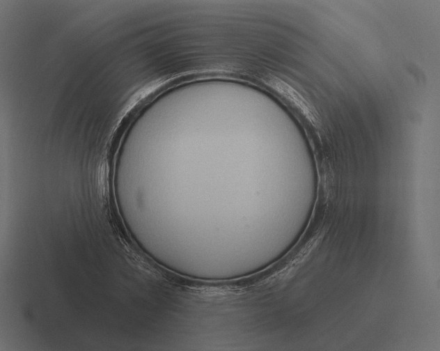 X0000116300781200912291431