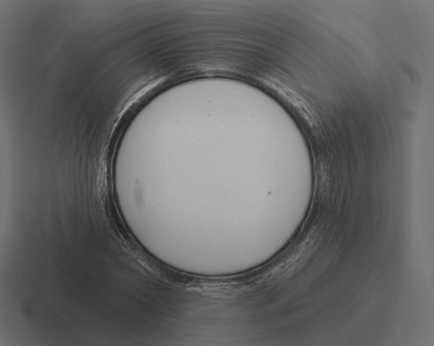 X0000116300782200912291431