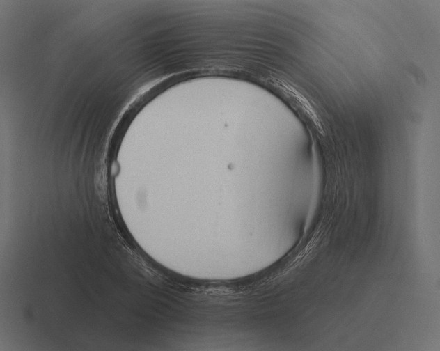 X0000116300784200912291431