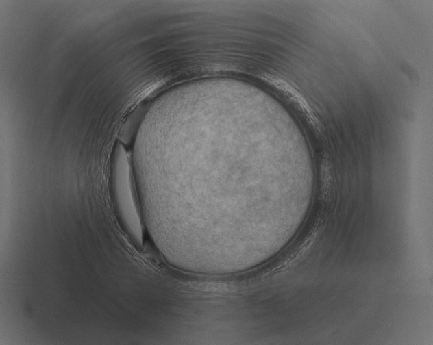 X0000116300785200912291431