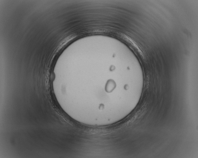 X0000116300786200912291431