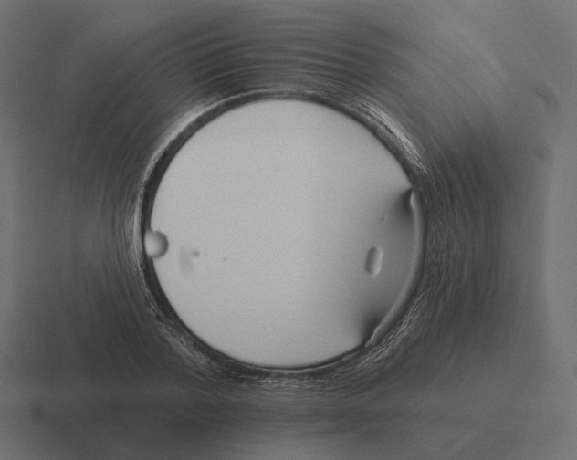 X0000116300788200912291431