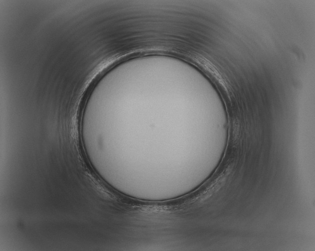 X0000116300789200912291431