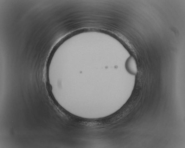 X0000116300791200912291431