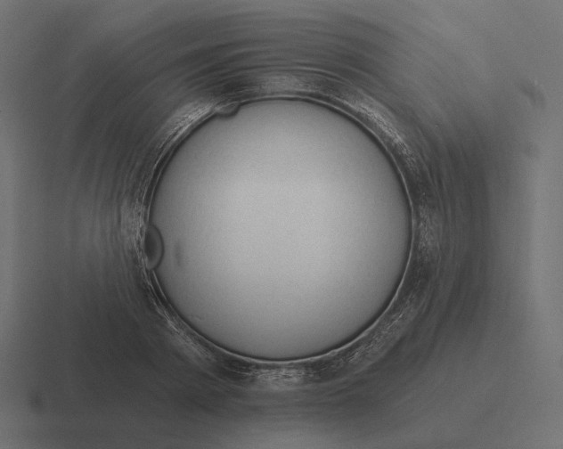 X0000116300793200912291431