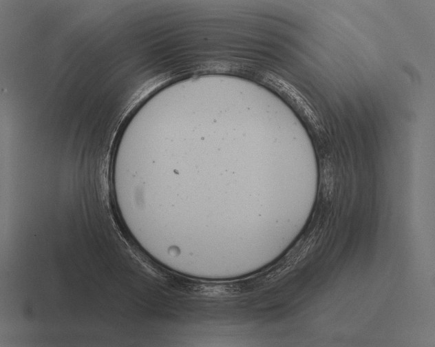 X0000116300794200912291431