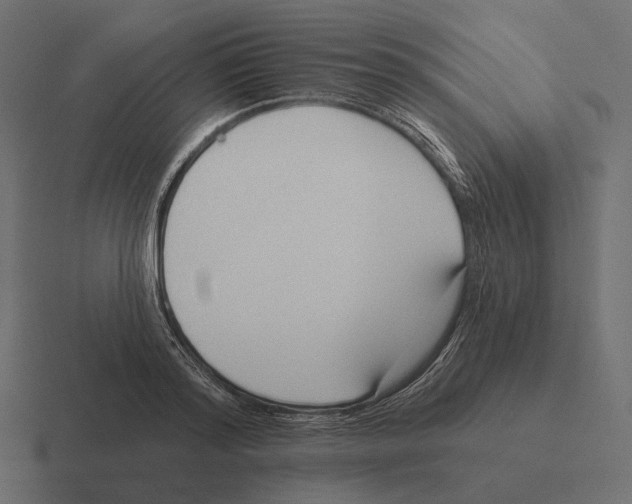 X0000116300796200912291431