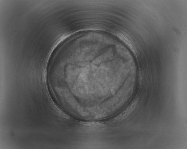 X0000116300797200912291431