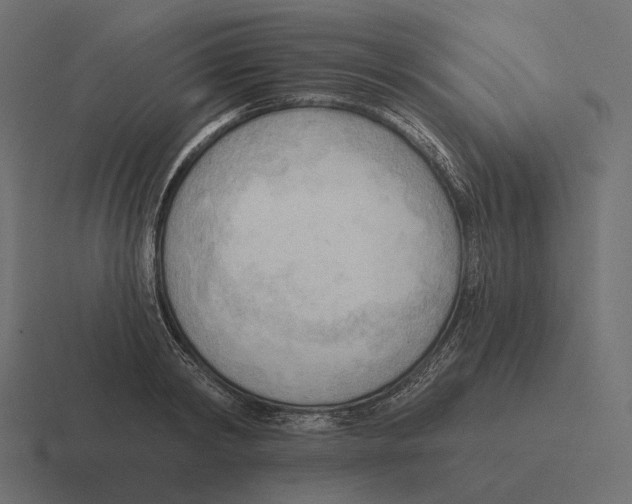 X0000116300798200912291431