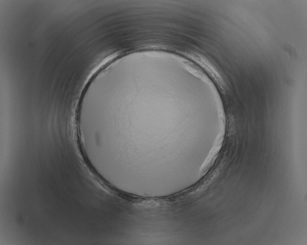 X0000116300806200912291430