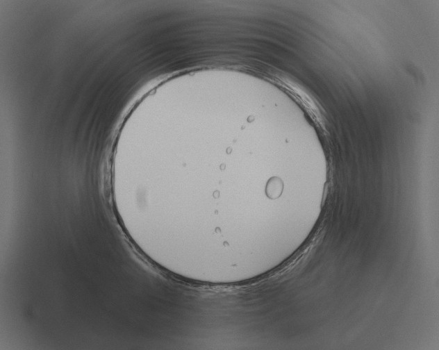 X0000116300808200912291430