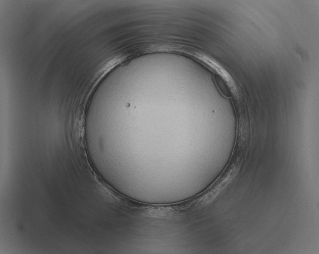 X0000116300809200912291430