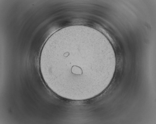 X0000116300810200912291430