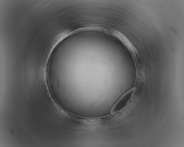 X0000116300813200912291430