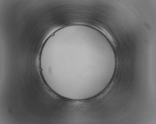 X0000116300814200912291430