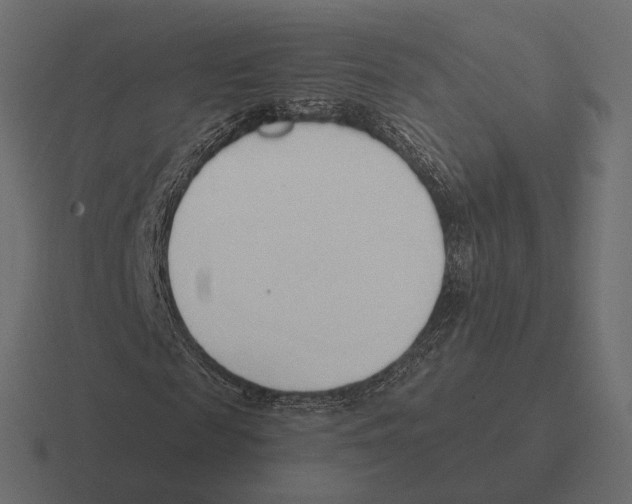 X0000116300817200912291430