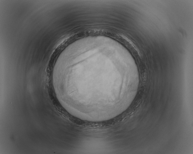 X0000116300823200912291430