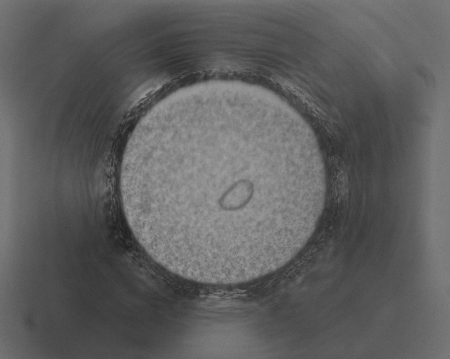 X0000116300824200912291430