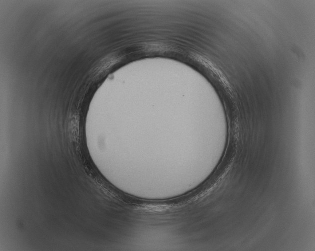 X0000116300825200912291430