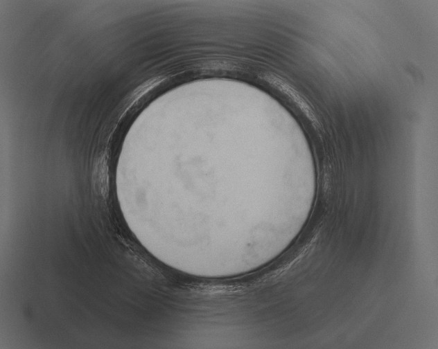 X0000116300829200912291430