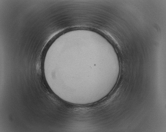 X0000116300830200912291430