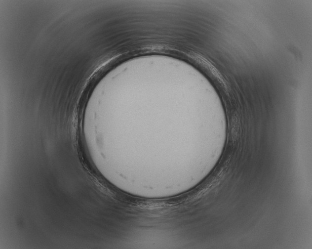 X0000116300831200912291430