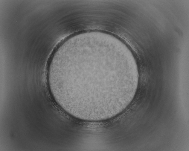 X0000116300832200912291430