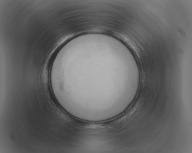 X0000116300835200912291430