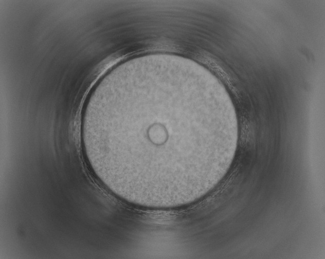 X0000116300836200912291430