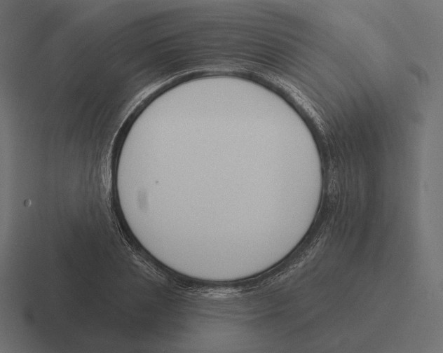 X0000116300837200912291430