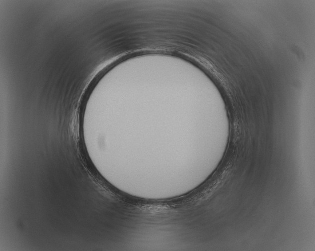 X0000116300838200912291430