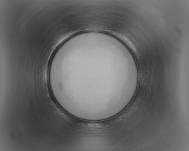 X0000116300839200912291430