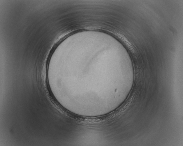 X0000116300840200912291430