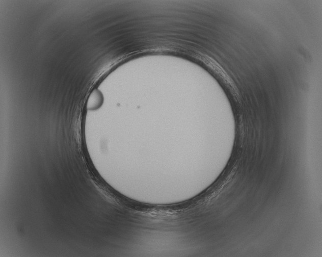 X0000116300842200912291430