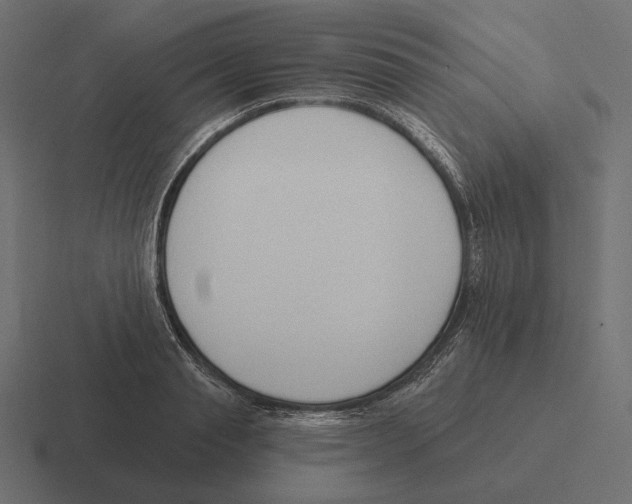 X0000116300845200912291430