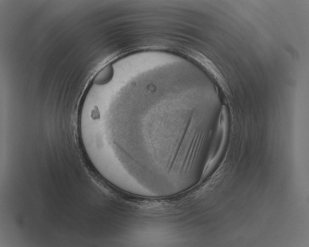 X0000116300850200912291430