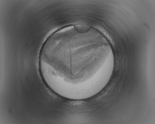 X0000116300853200912291430