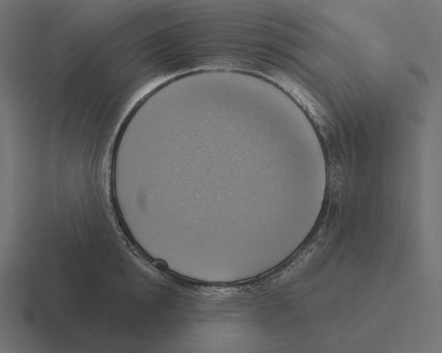 X0000116300854200912291430