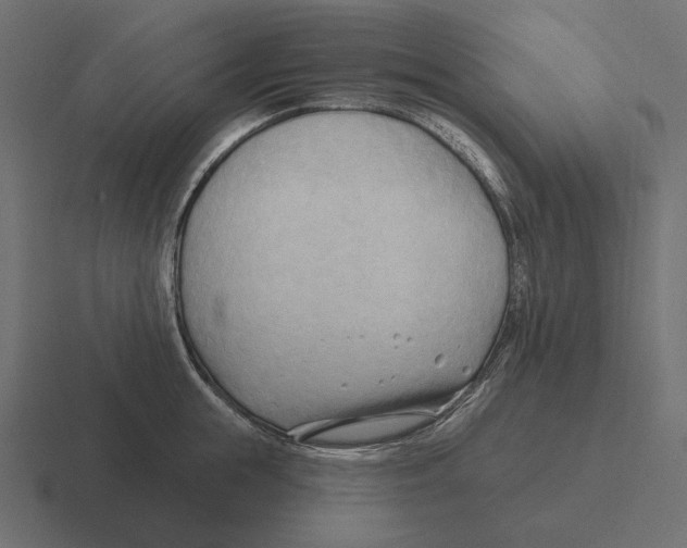 X0000116300855200912291430