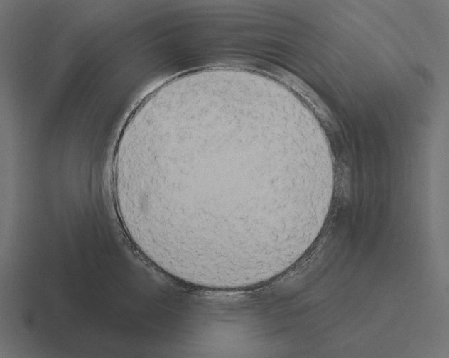 X0000116300856200912291430