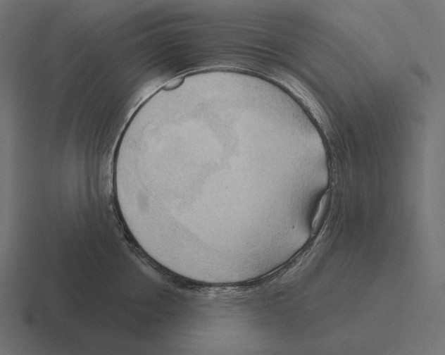 X0000116300858200912291430