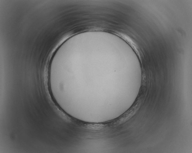 X0000116300859200912291430