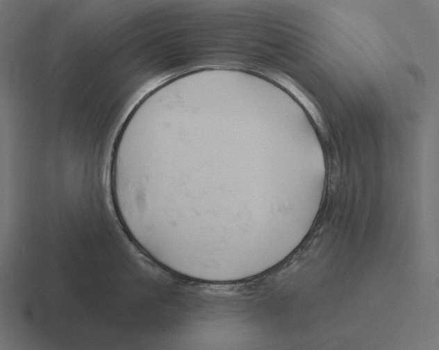 X0000116300861200912291430