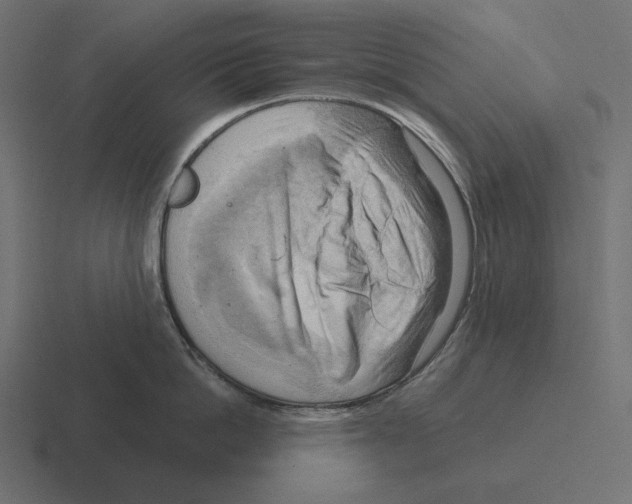 X0000116300862200912291430