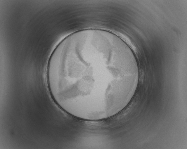 X0000116300863200912291430