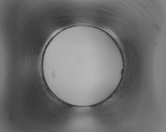 X0000116300864200912291430