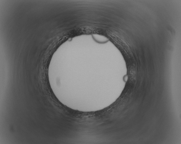 X0000116300865200912291430